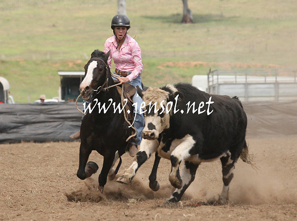 CabanandraCampdraft2013_1D_0886