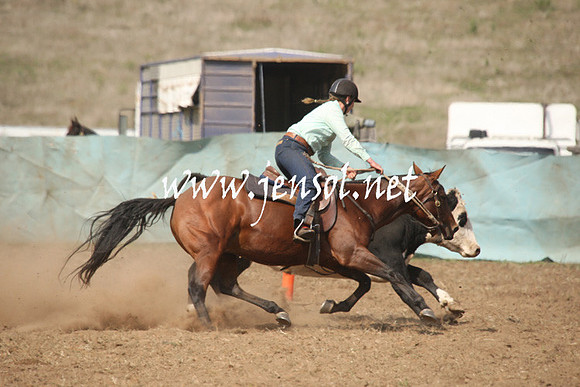 CabanandraCampdraft2013_1D_0654