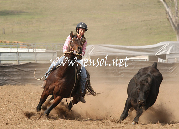 CabanandraCampdraft2013_1D_0529
