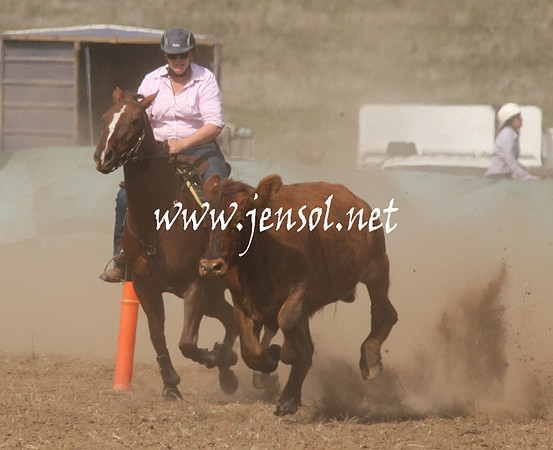 CabanandraCampdraft2013_1D_0642