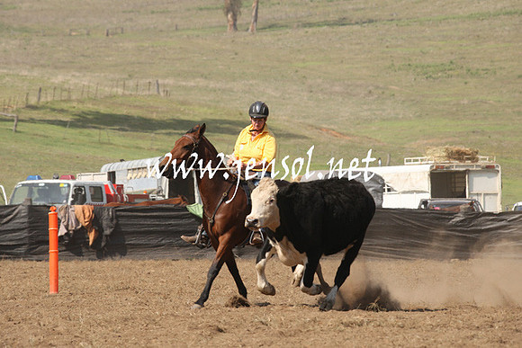 CabanandraCampdraft2013_1D_0740