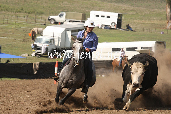 CabanandraCampdraft2013_1D_0704