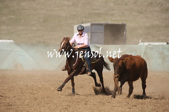 CabanandraCampdraft2013_1D_0643