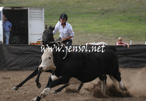 CabanandraCampdraft2013_1D_0798