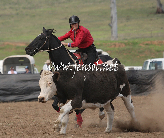 CabanandraCampdraft2013_1D_0820