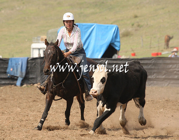 CabanandraCampdraft2013_1D_0589