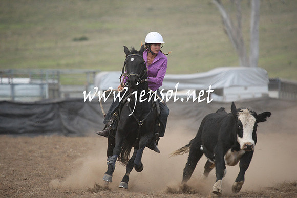 CabanandraCampdraft2013_1D_0792