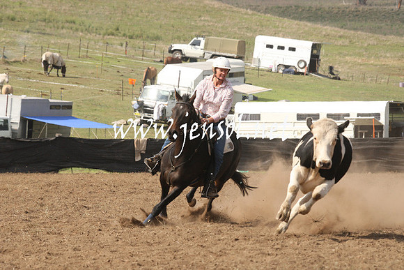 CabanandraCampdraft2013_1D_0597