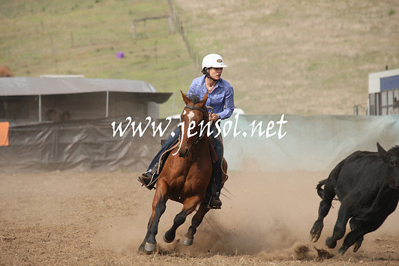 CabanandraCampdraft2013_1D_0574