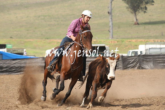 CabanandraCampdraft2013_1D_0614