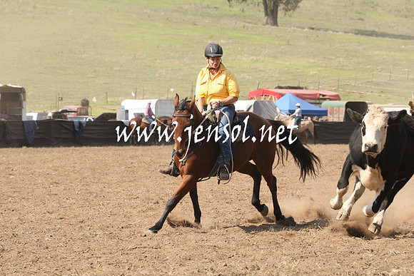 CabanandraCampdraft2013_1D_0743