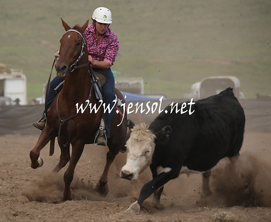 CabanandraCampdraft2013_1D_0851