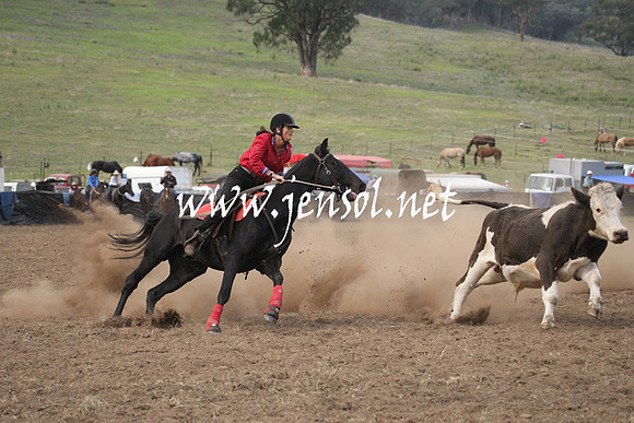 CabanandraCampdraft2013_1D_0828