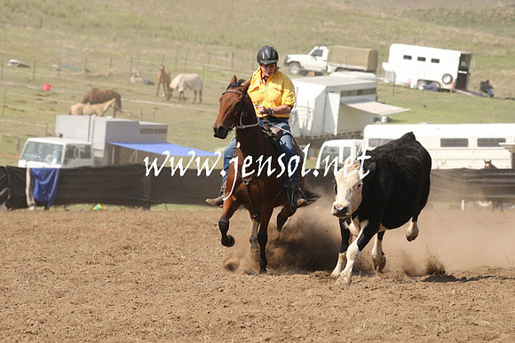 CabanandraCampdraft2013_1D_0742