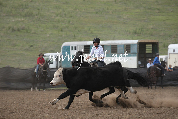 CabanandraCampdraft2013_1D_0796