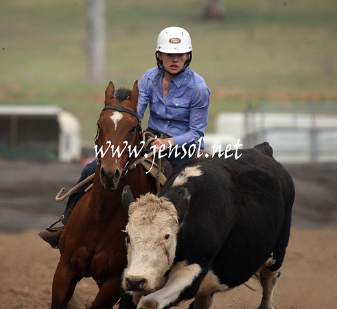 CabanandraCampdraft2013_1D_0865