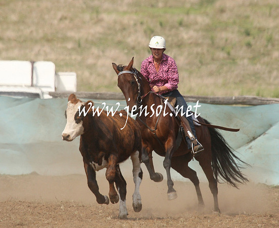 CabanandraCampdraft2013_1D_0599