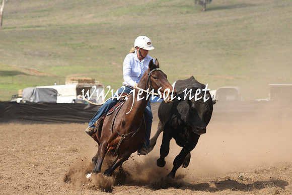 CabanandraCampdraft2013_1D_0638
