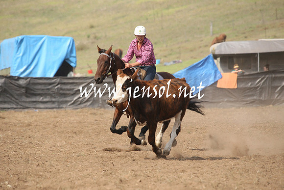 CabanandraCampdraft2013_1D_0605