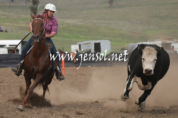 CabanandraCampdraft2013_1D_0854