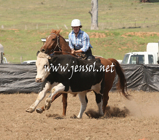CabanandraCampdraft2013_1D_0779