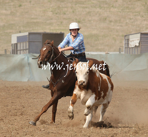 CabanandraCampdraft2013_1D_0567