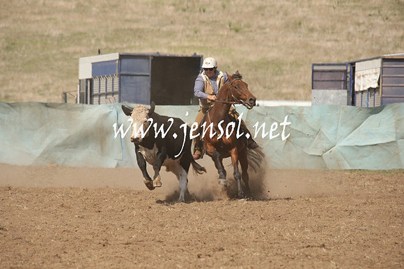 CabanandraCampdraft2013_1D_0689