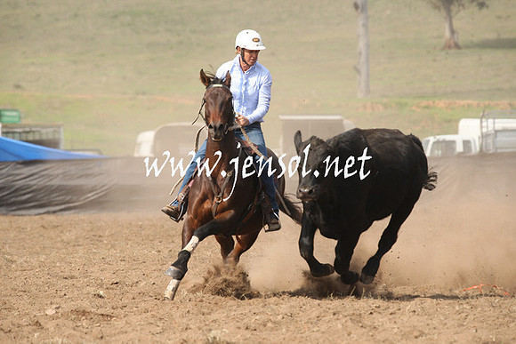 CabanandraCampdraft2013_1D_0633