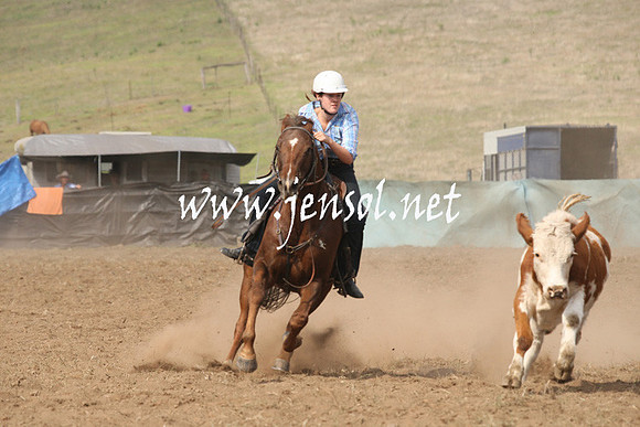 CabanandraCampdraft2013_1D_0571
