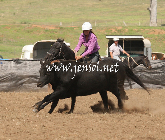 CabanandraCampdraft2013_1D_0894