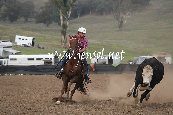 CabanandraCampdraft2013_1D_0853