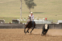 CabanandraCampdraft2013_1D_0521