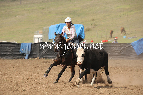 CabanandraCampdraft2013_1D_0590