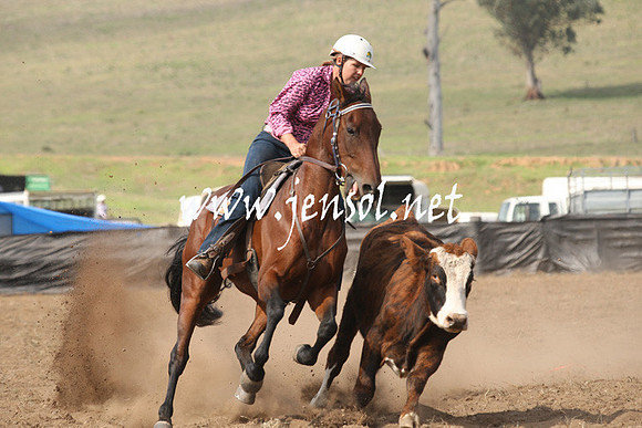 CabanandraCampdraft2013_1D_0615