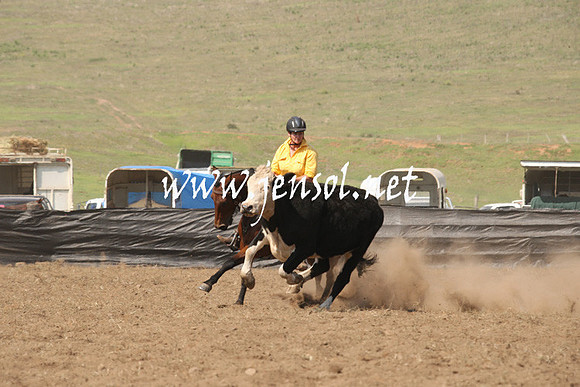 CabanandraCampdraft2013_1D_0737