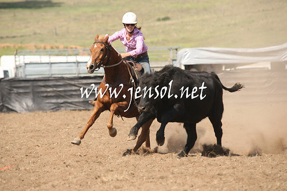 CabanandraCampdraft2013_1D_0723
