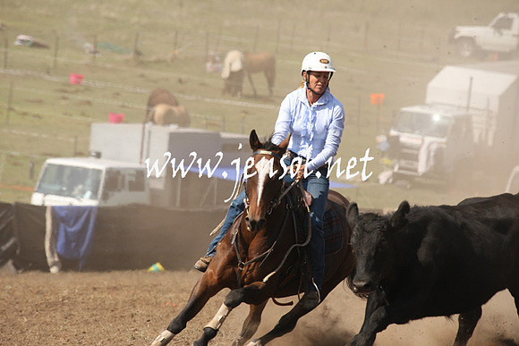 CabanandraCampdraft2013_1D_0757