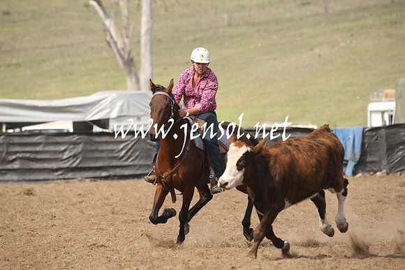 CabanandraCampdraft2013_1D_0606