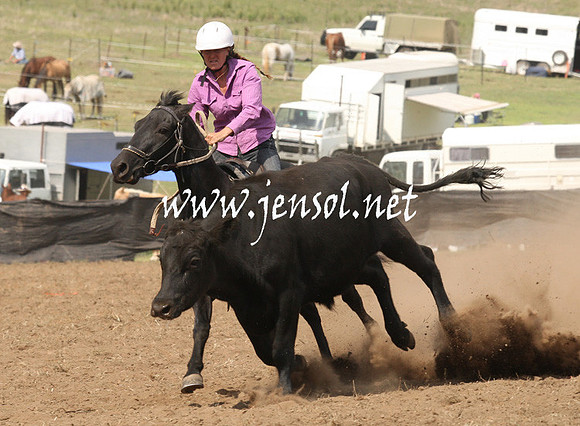 CabanandraCampdraft2013_1D_0898
