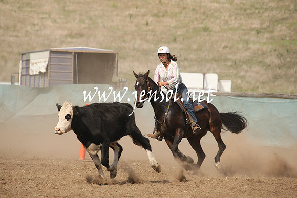CabanandraCampdraft2013_1D_0587