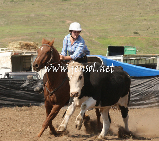 CabanandraCampdraft2013_1D_0781