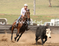 CabanandraCampdraft2013_1D_0522