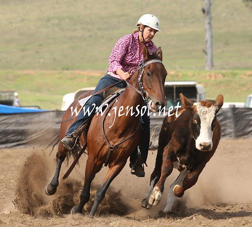 CabanandraCampdraft2013_1D_0613