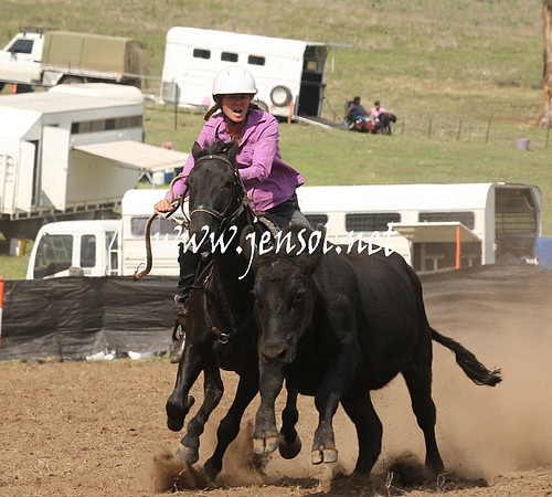 CabanandraCampdraft2013_1D_0895