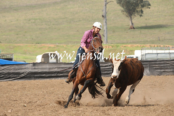CabanandraCampdraft2013_1D_0616