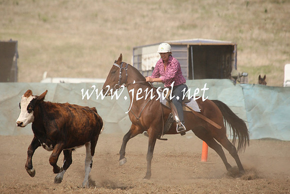 CabanandraCampdraft2013_1D_0601