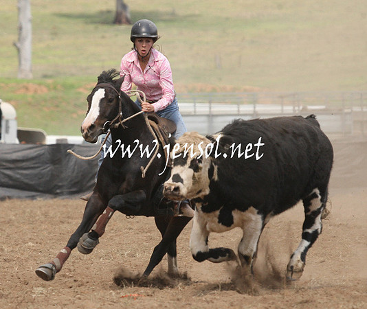 CabanandraCampdraft2013_1D_0884