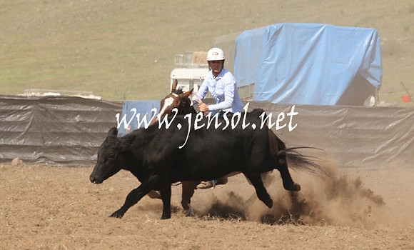 CabanandraCampdraft2013_1D_0750