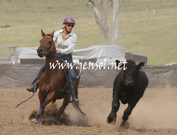 CabanandraCampdraft2013_1D_0839