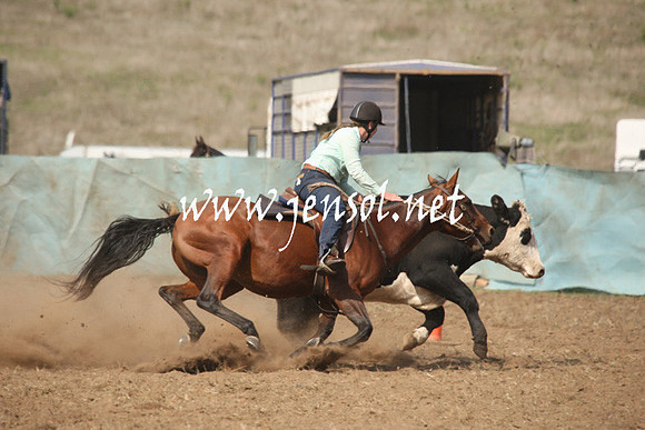 CabanandraCampdraft2013_1D_0653